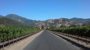 winery